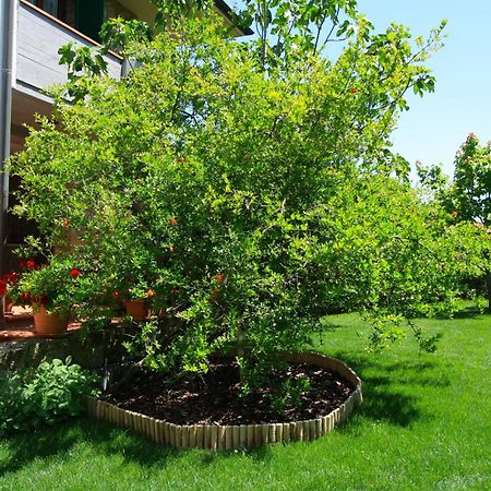 Apartament Il Melograno - San Quirico dʼOrcia Zewnętrze zdjęcie