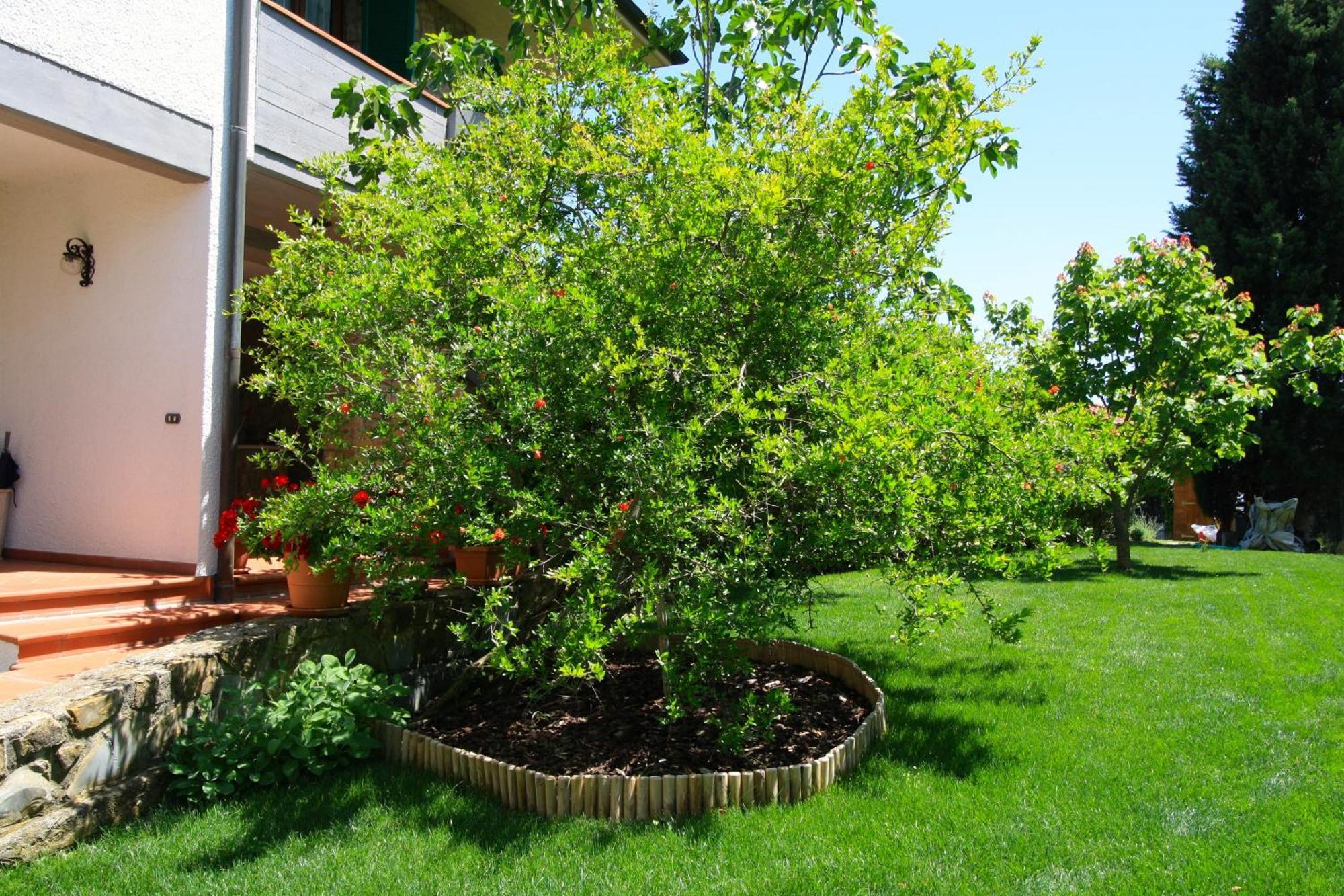 Apartament Il Melograno - San Quirico dʼOrcia Zewnętrze zdjęcie