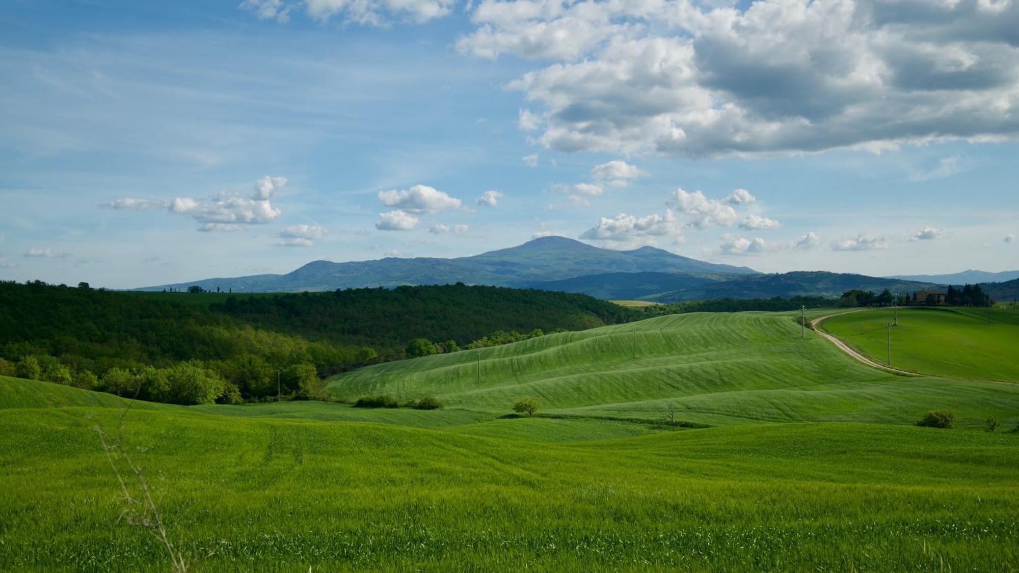Apartament Il Melograno - San Quirico dʼOrcia Zewnętrze zdjęcie